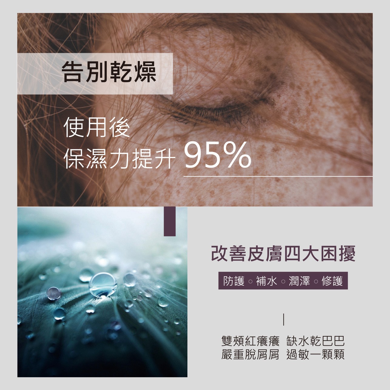 試用