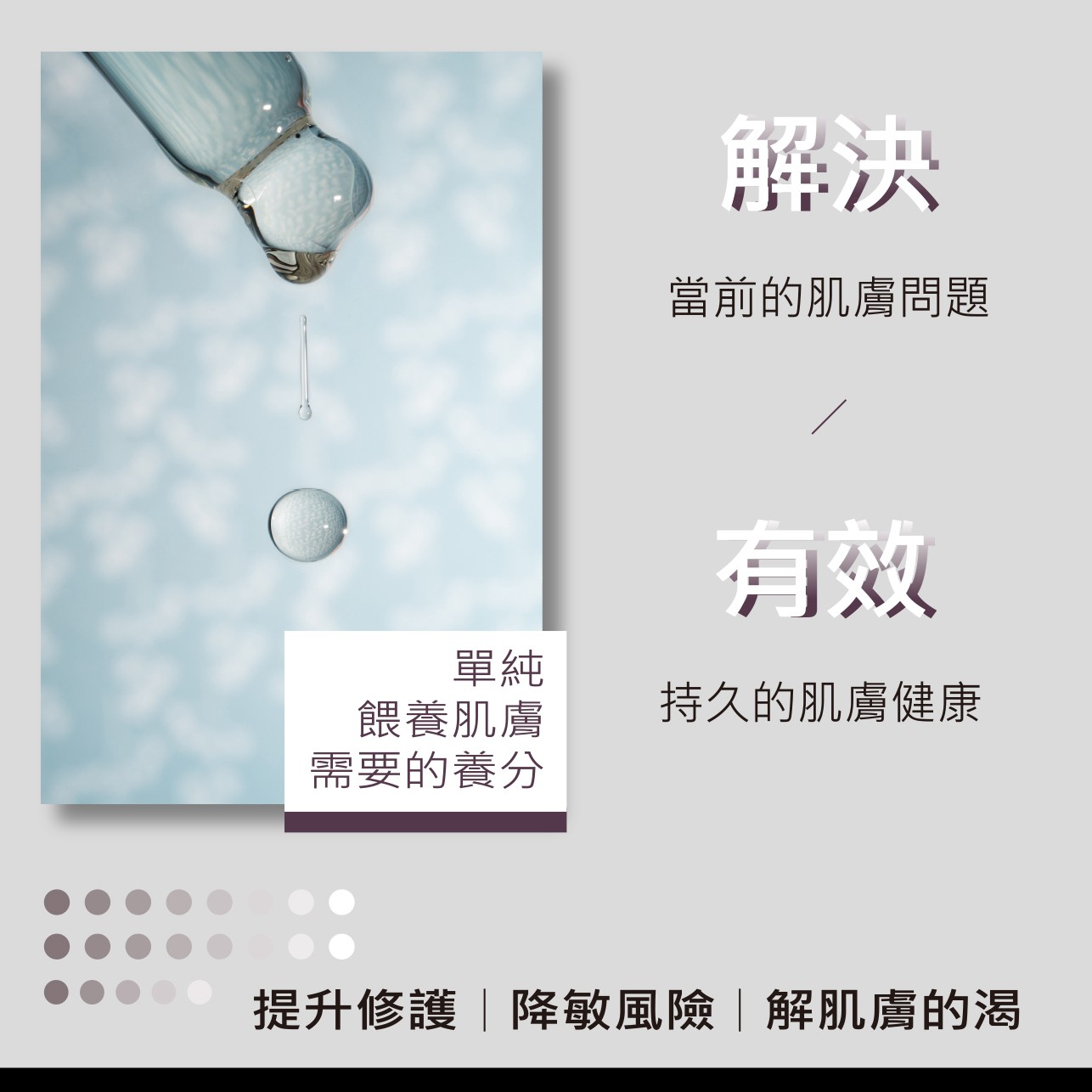試用