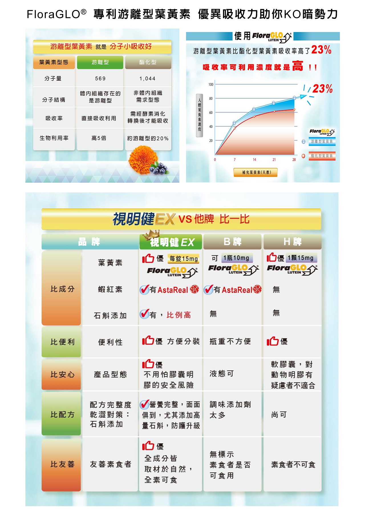試用