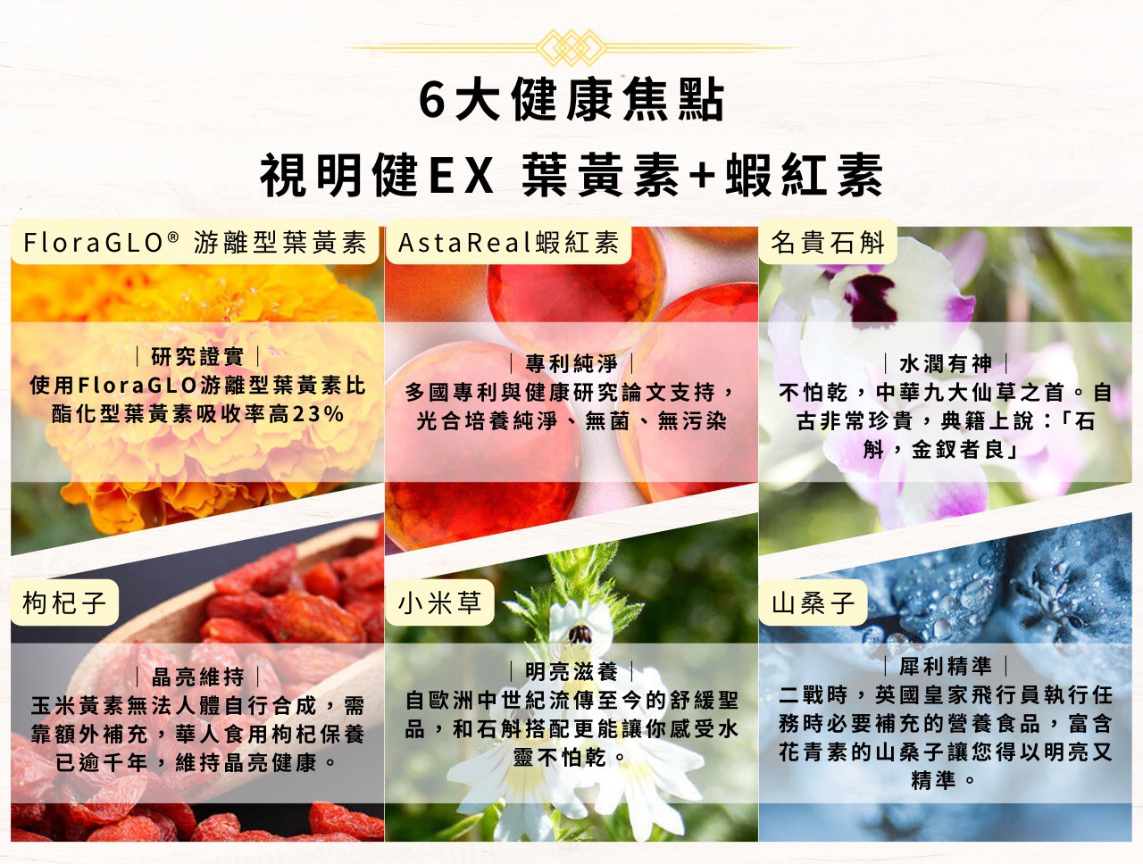 試用