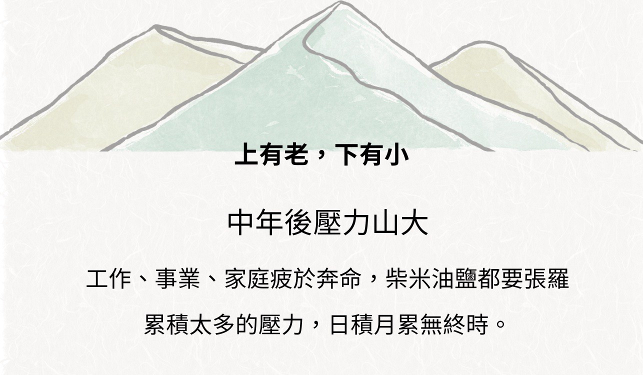 試用