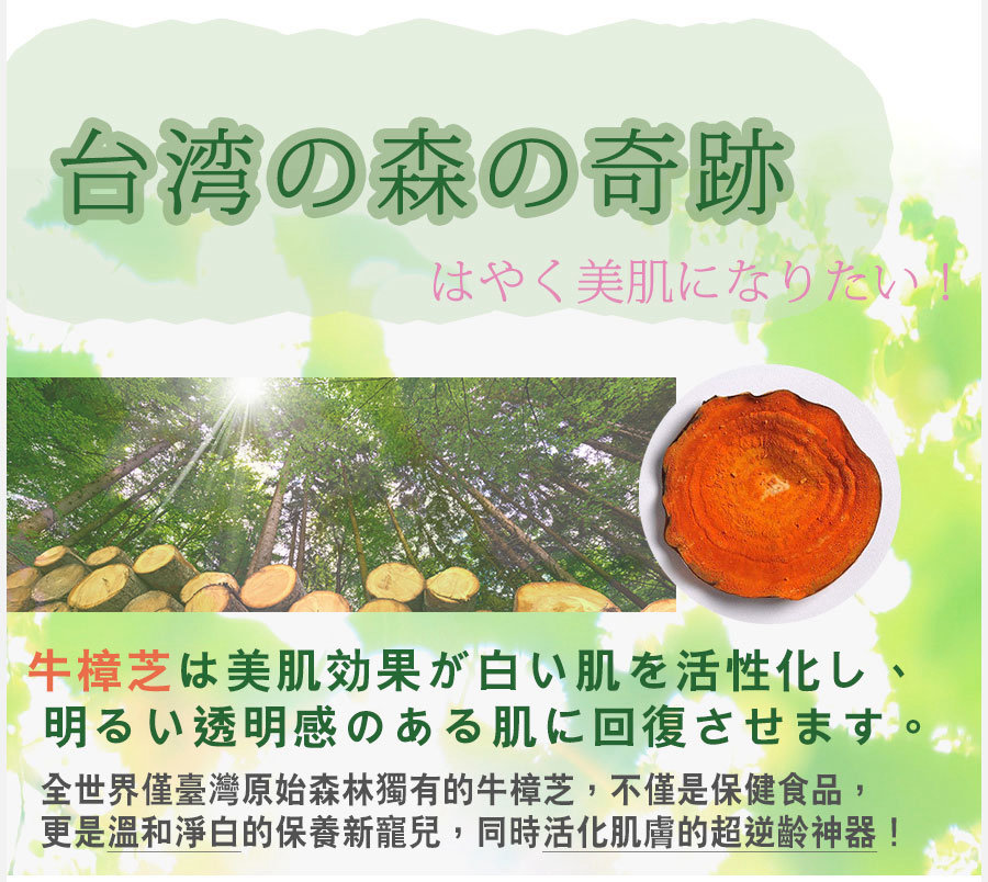 試用