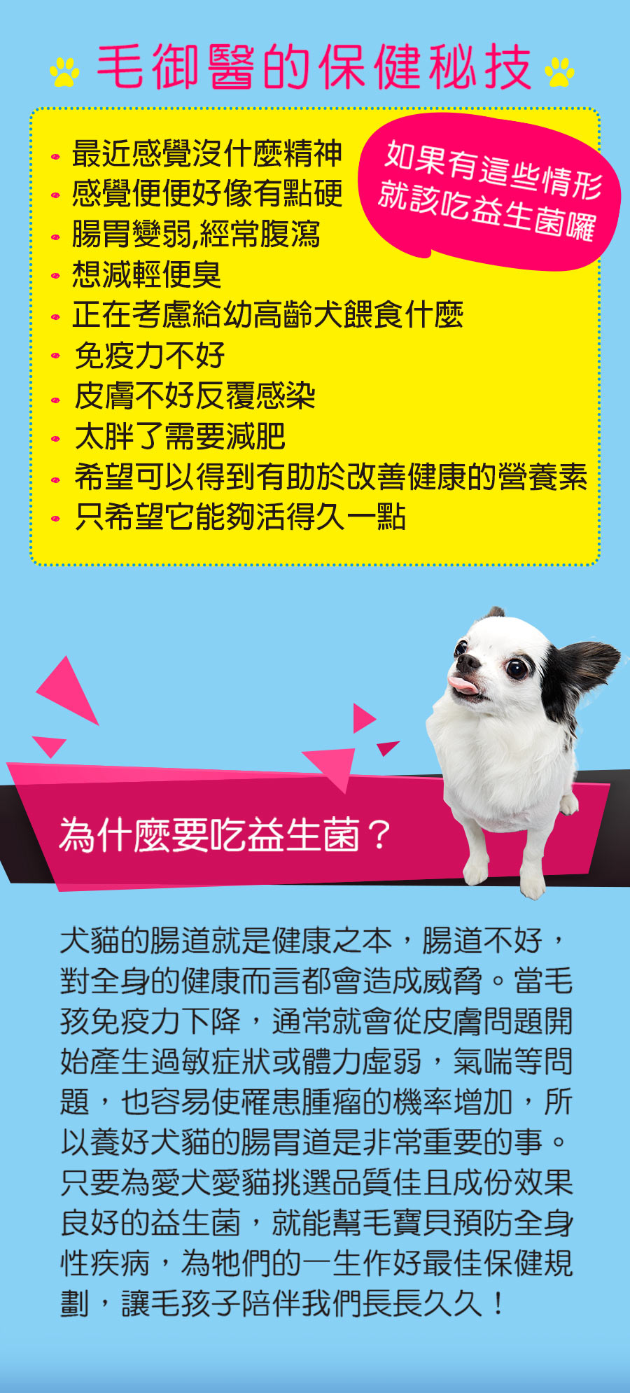 試用