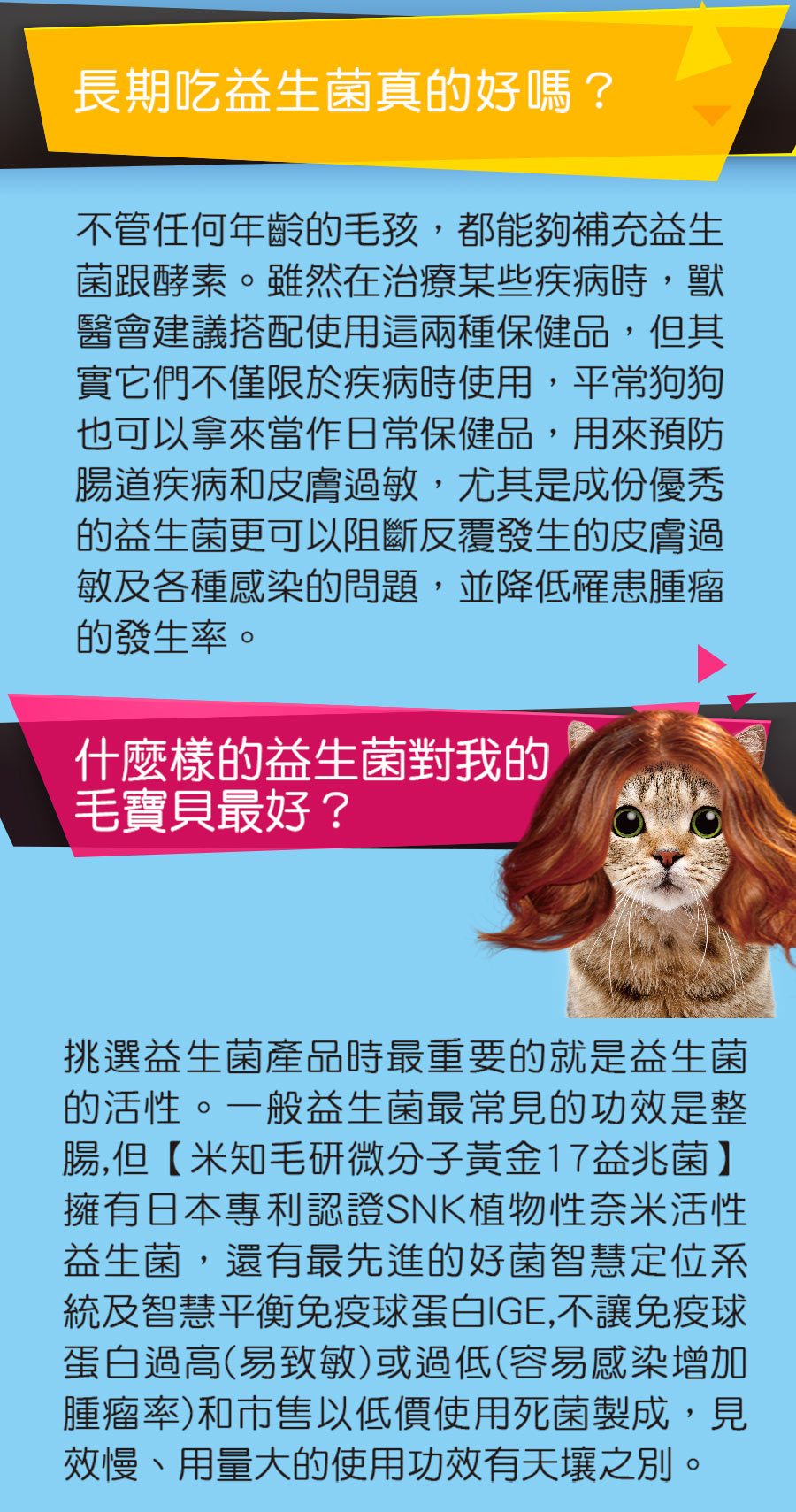 試用