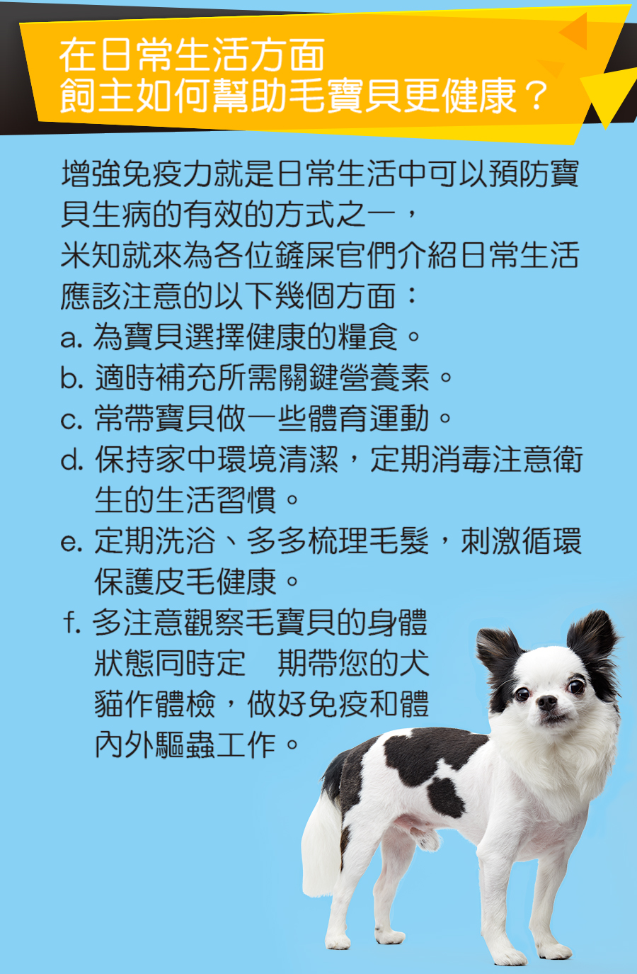 試用