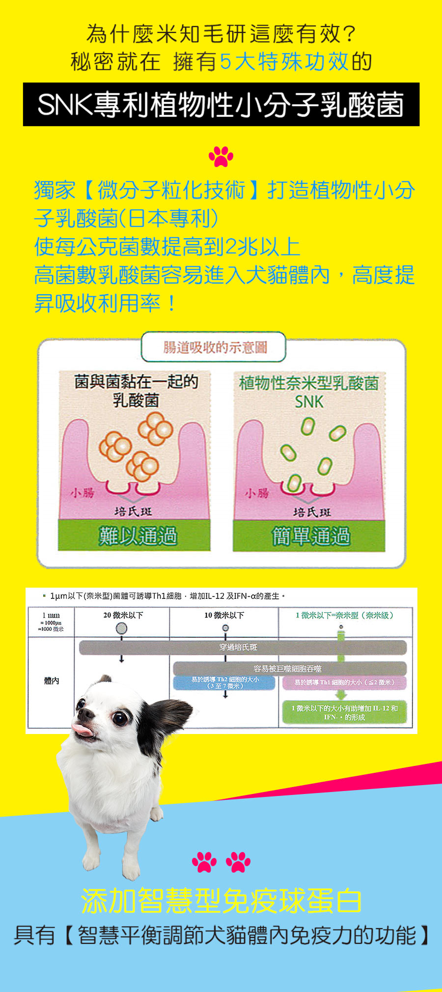 試用