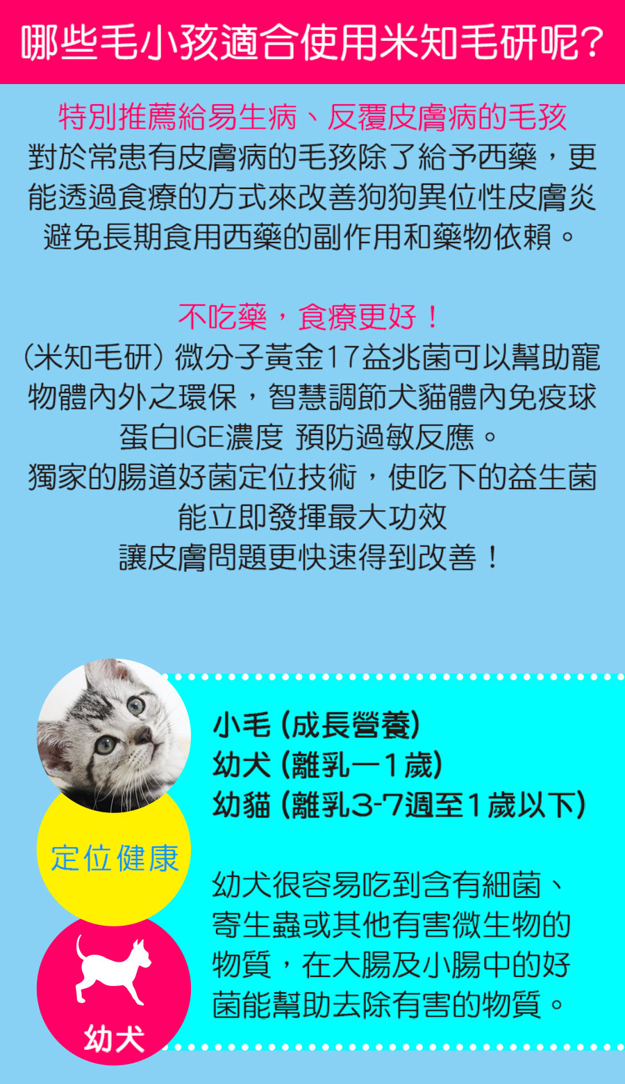 試用