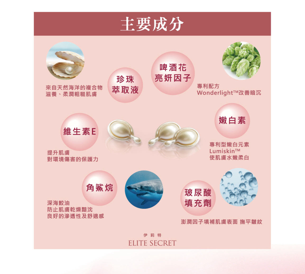 試用