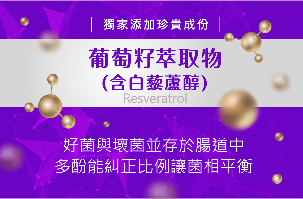 試用
