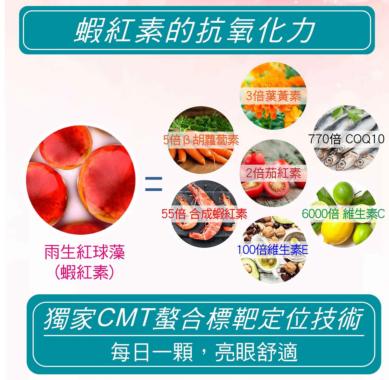 試用