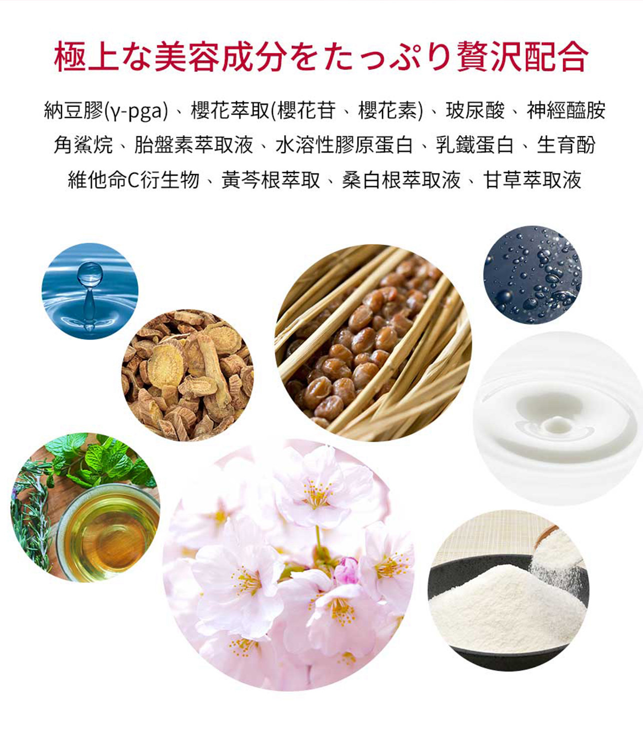 試用
