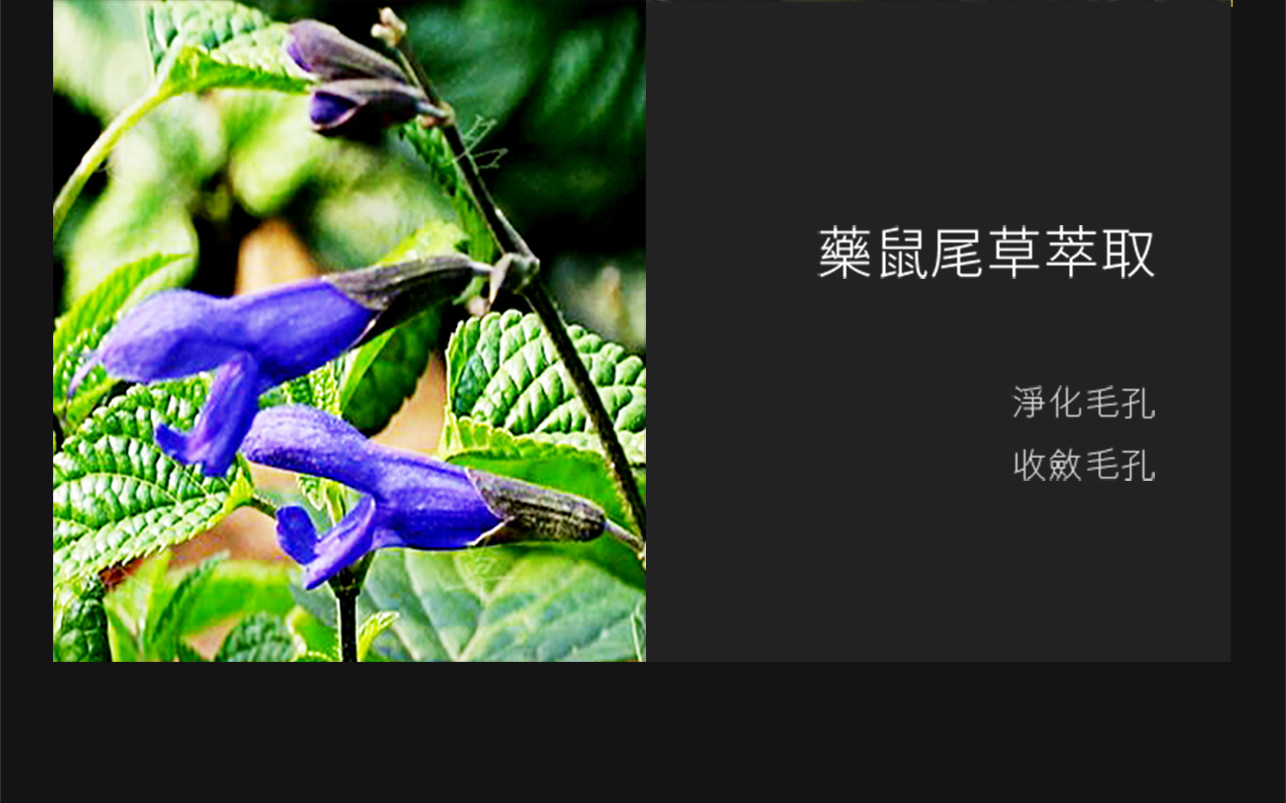 試用