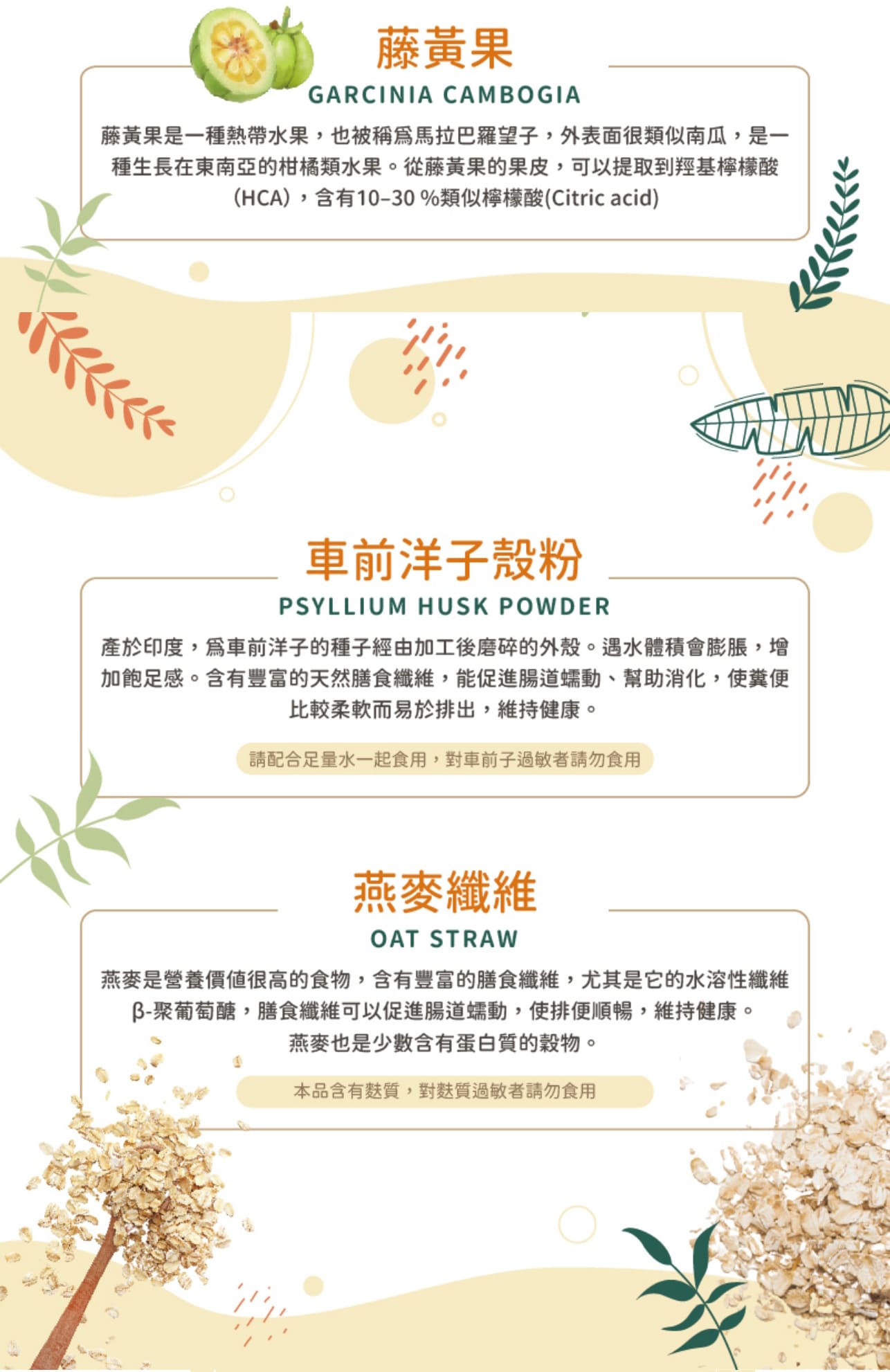 試用