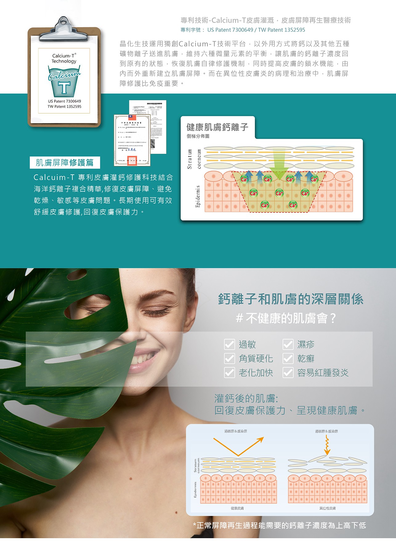 試用