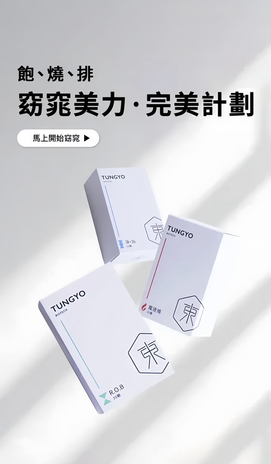 試用
