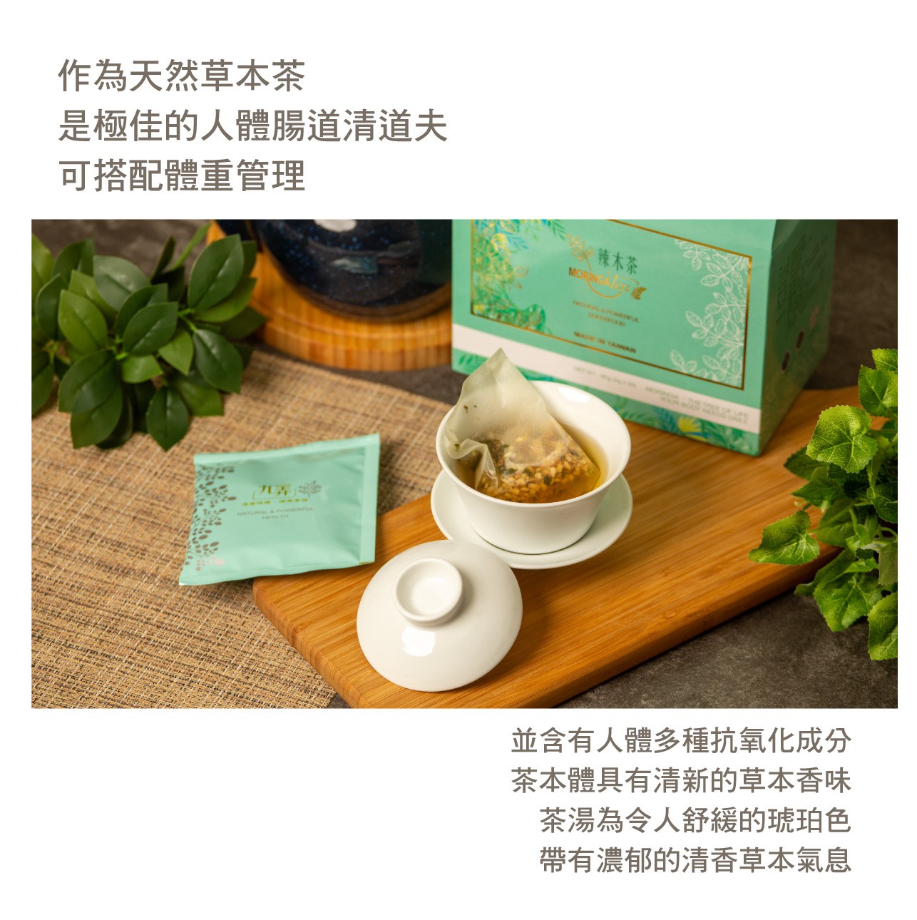 試用