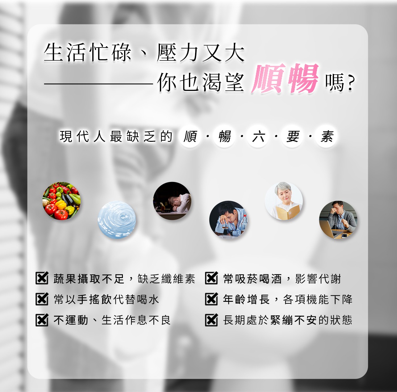 試用