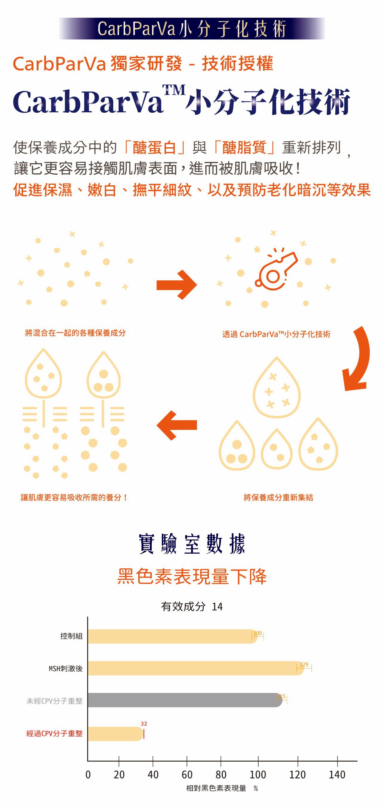 試用