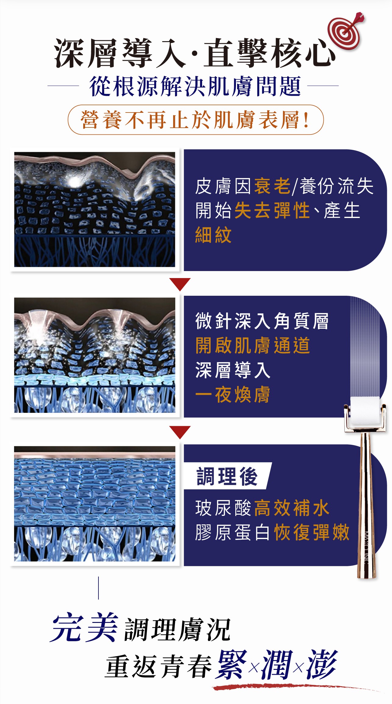 試用