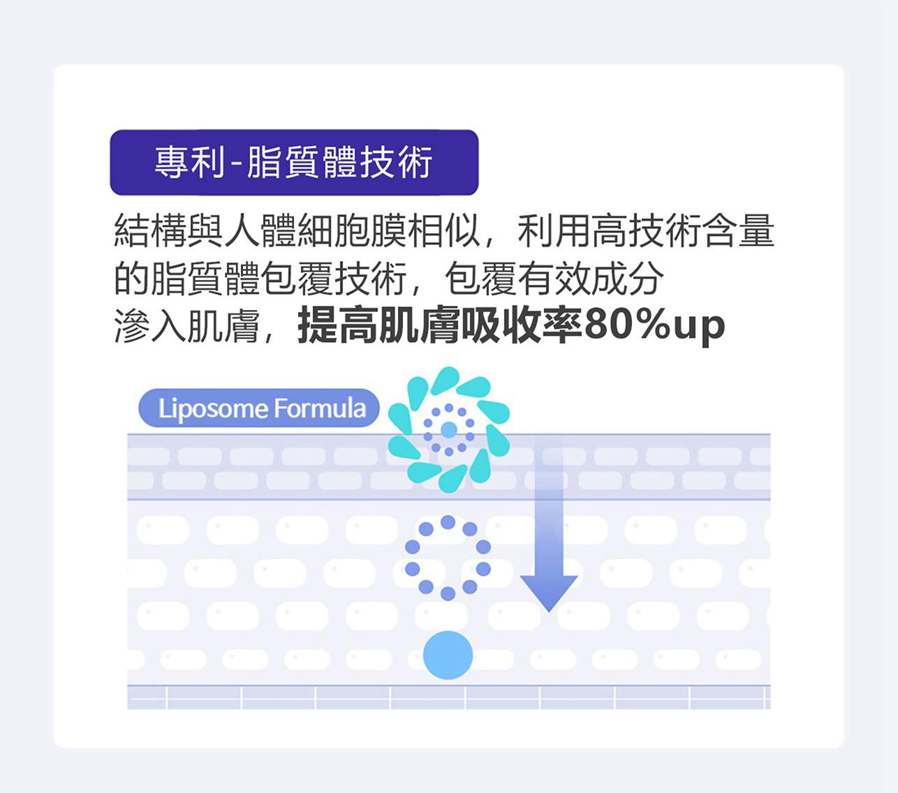 試用