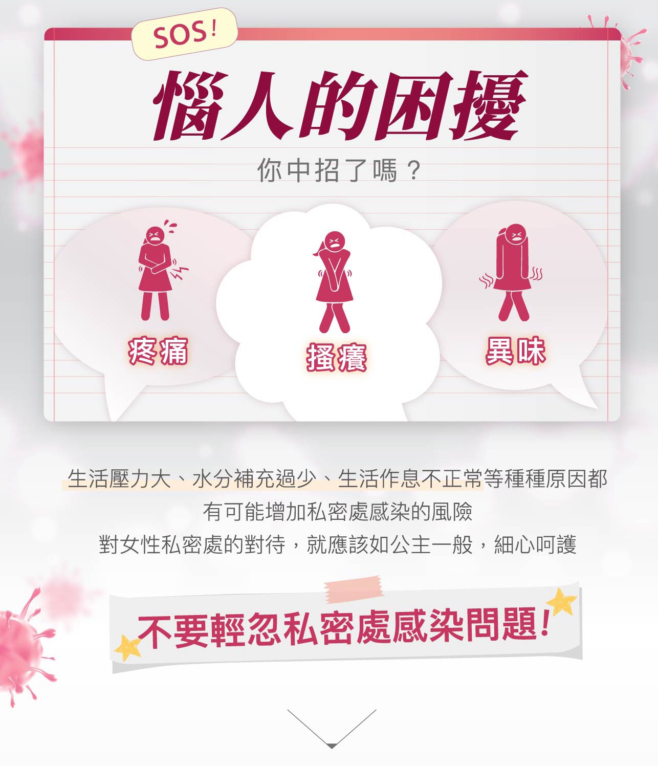 試用