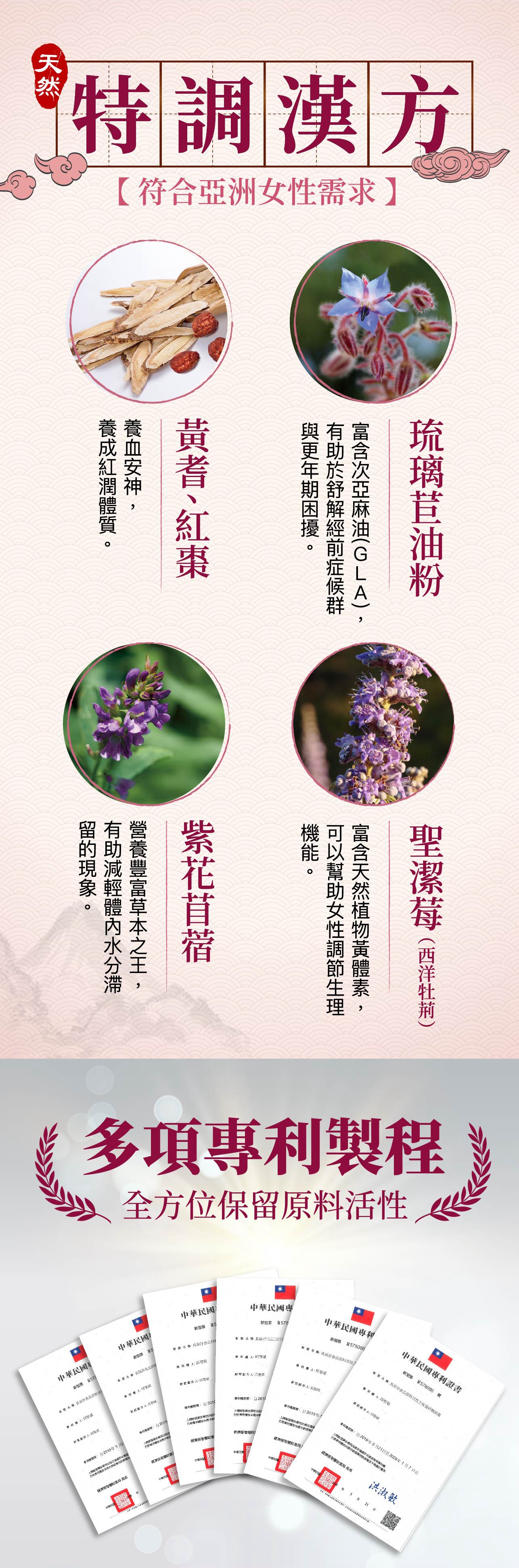 試用