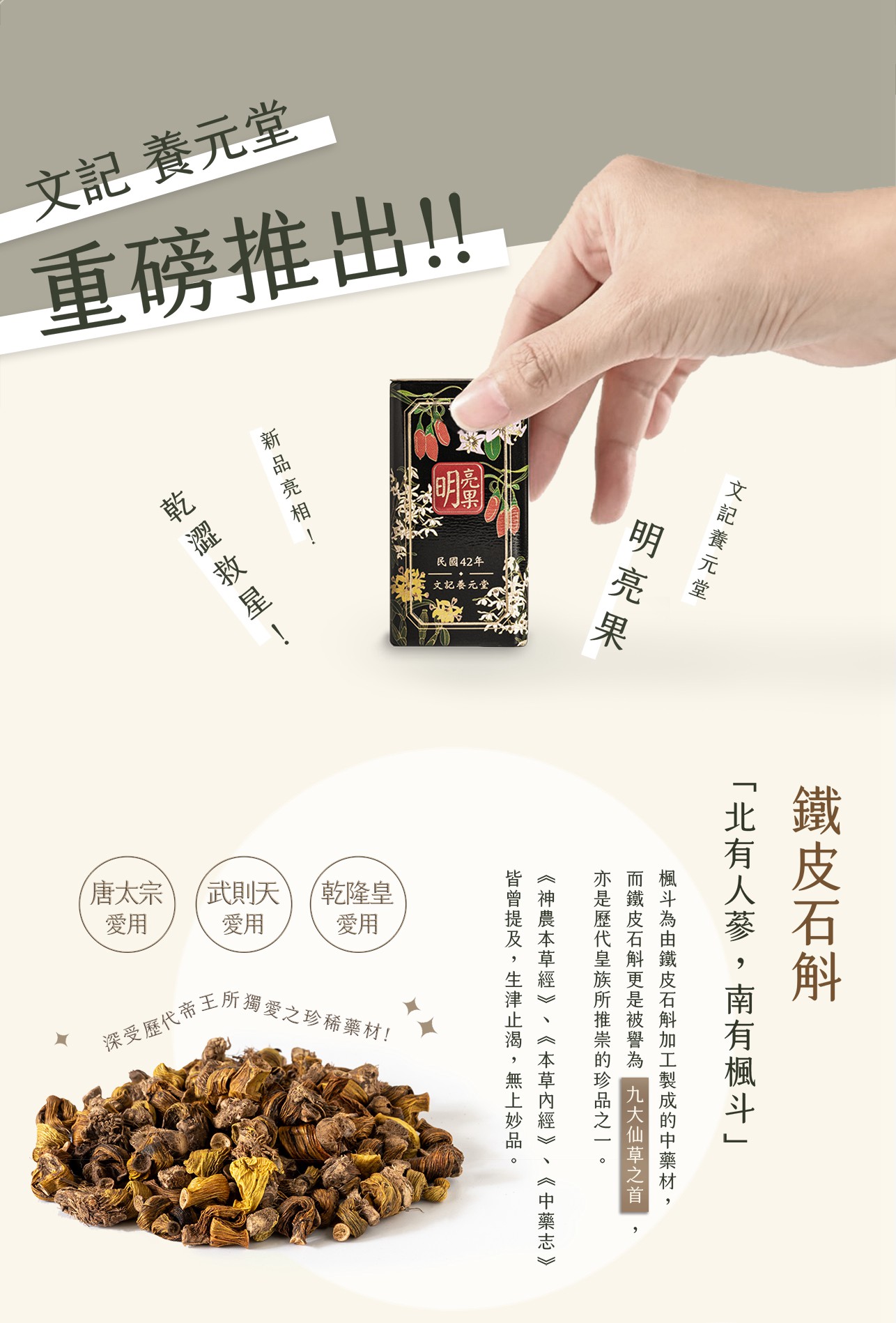 試用
