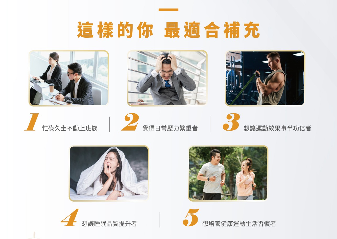 試用