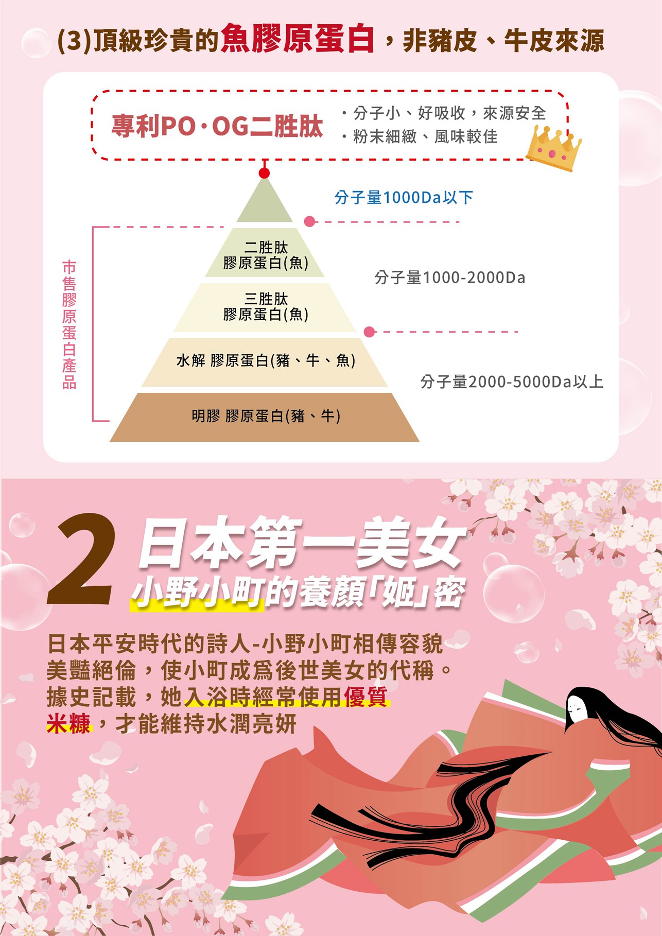 試用