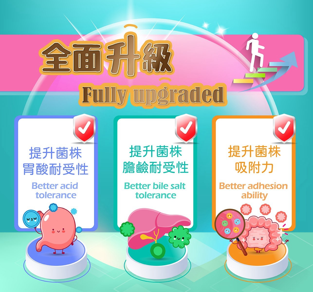 試用