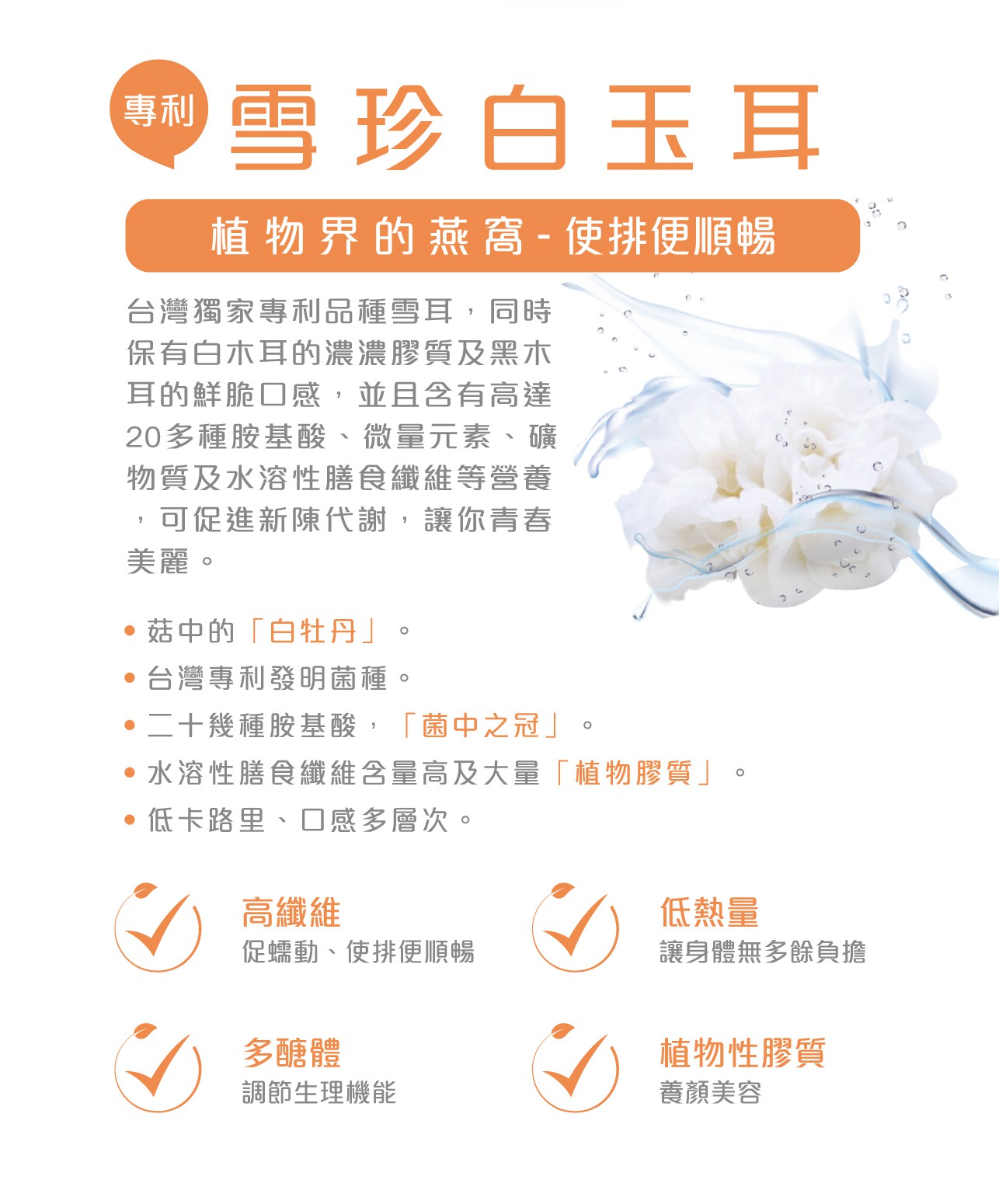 試用