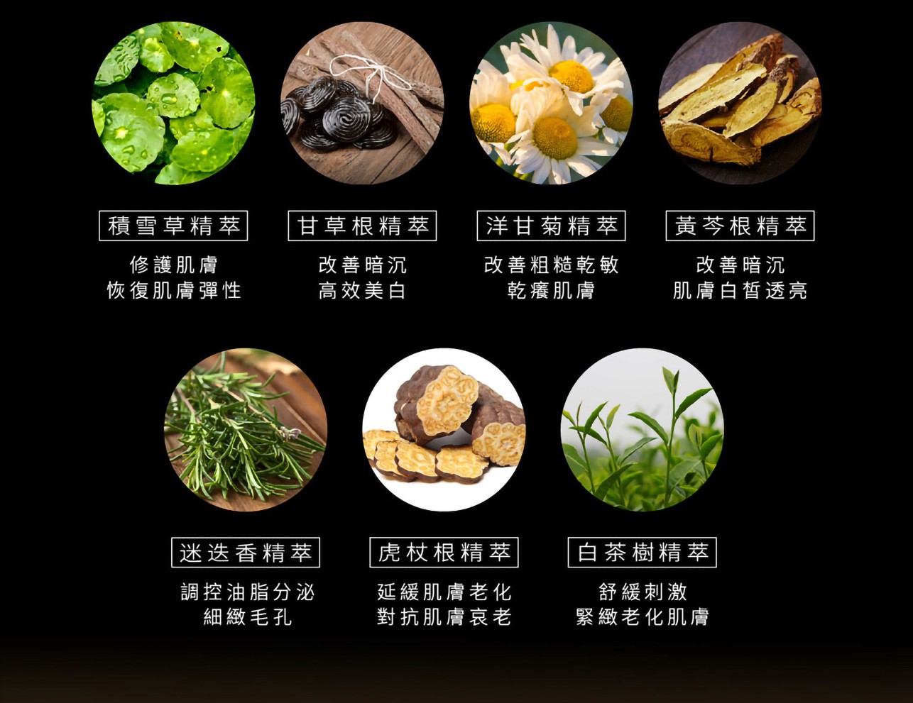 試用