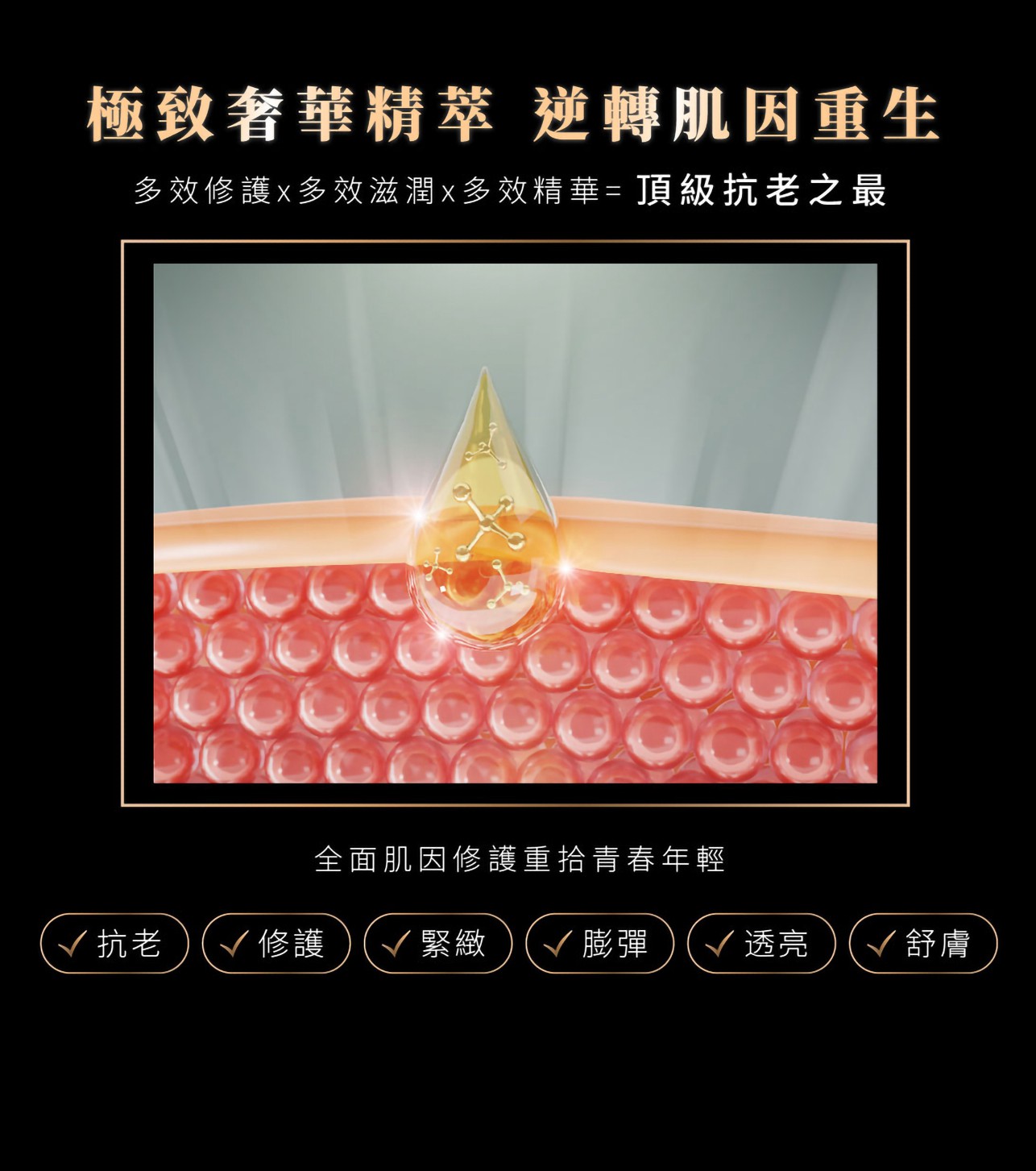 試用