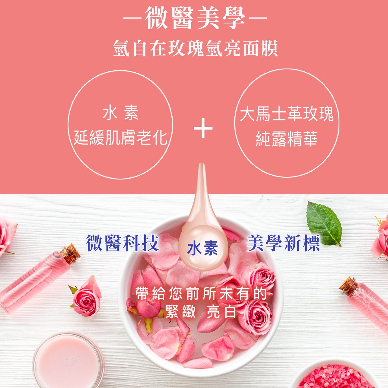 試用