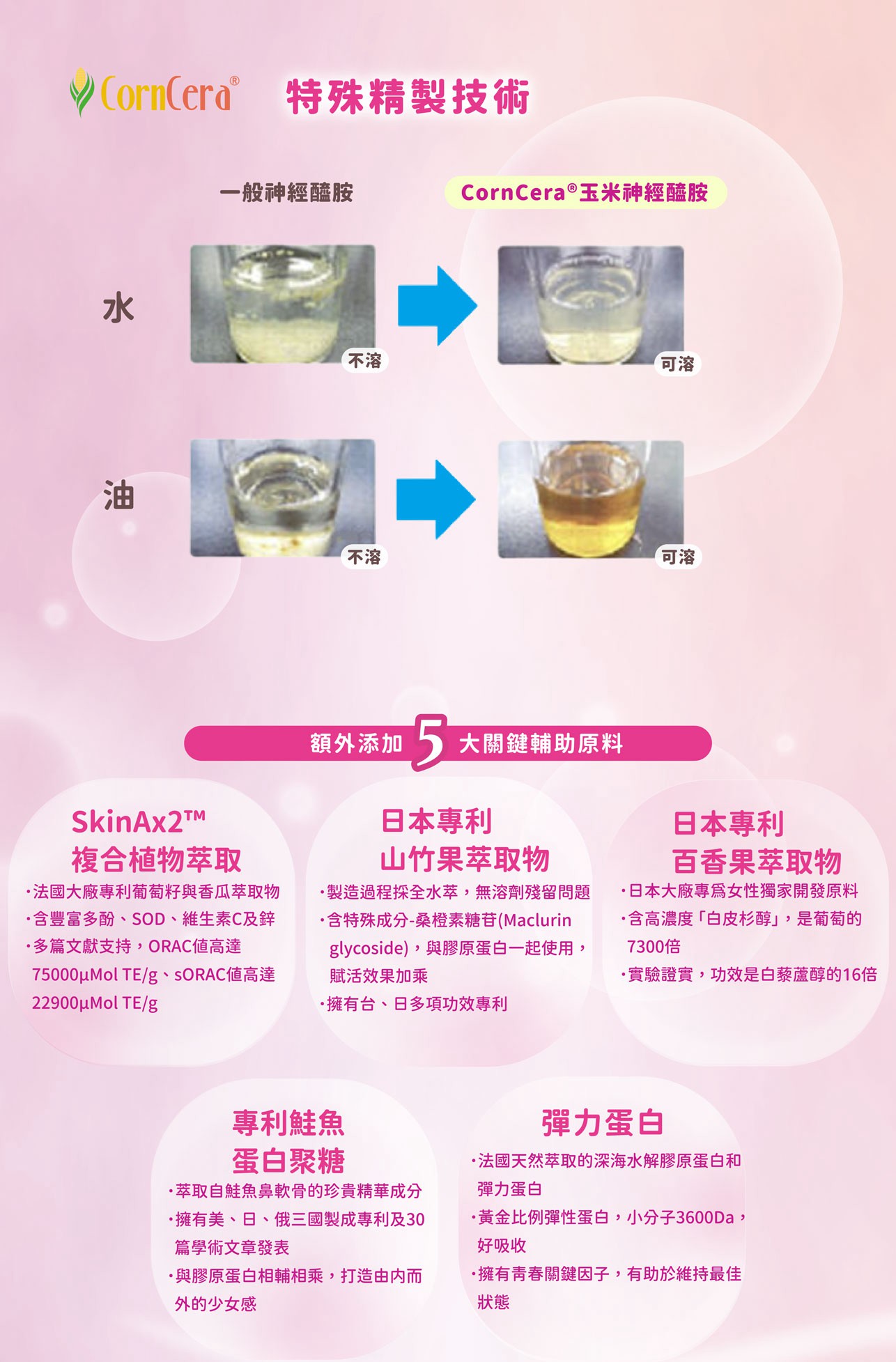 試用