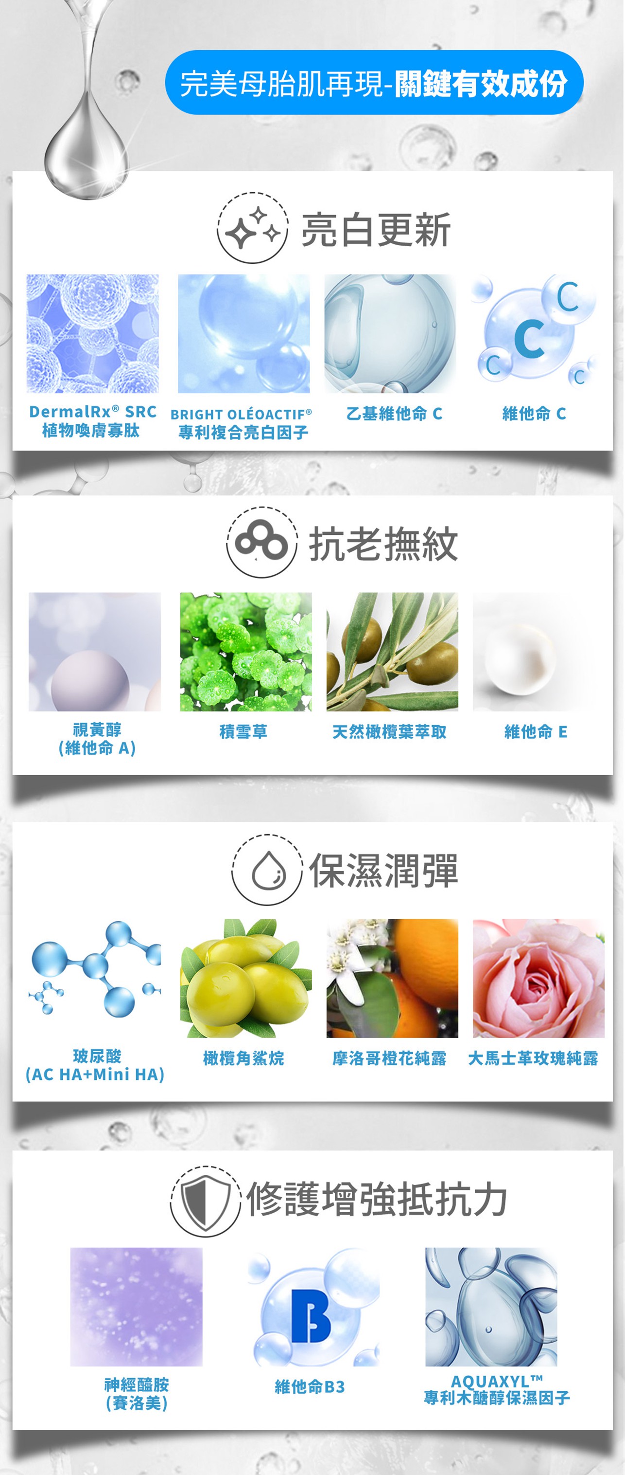 試用