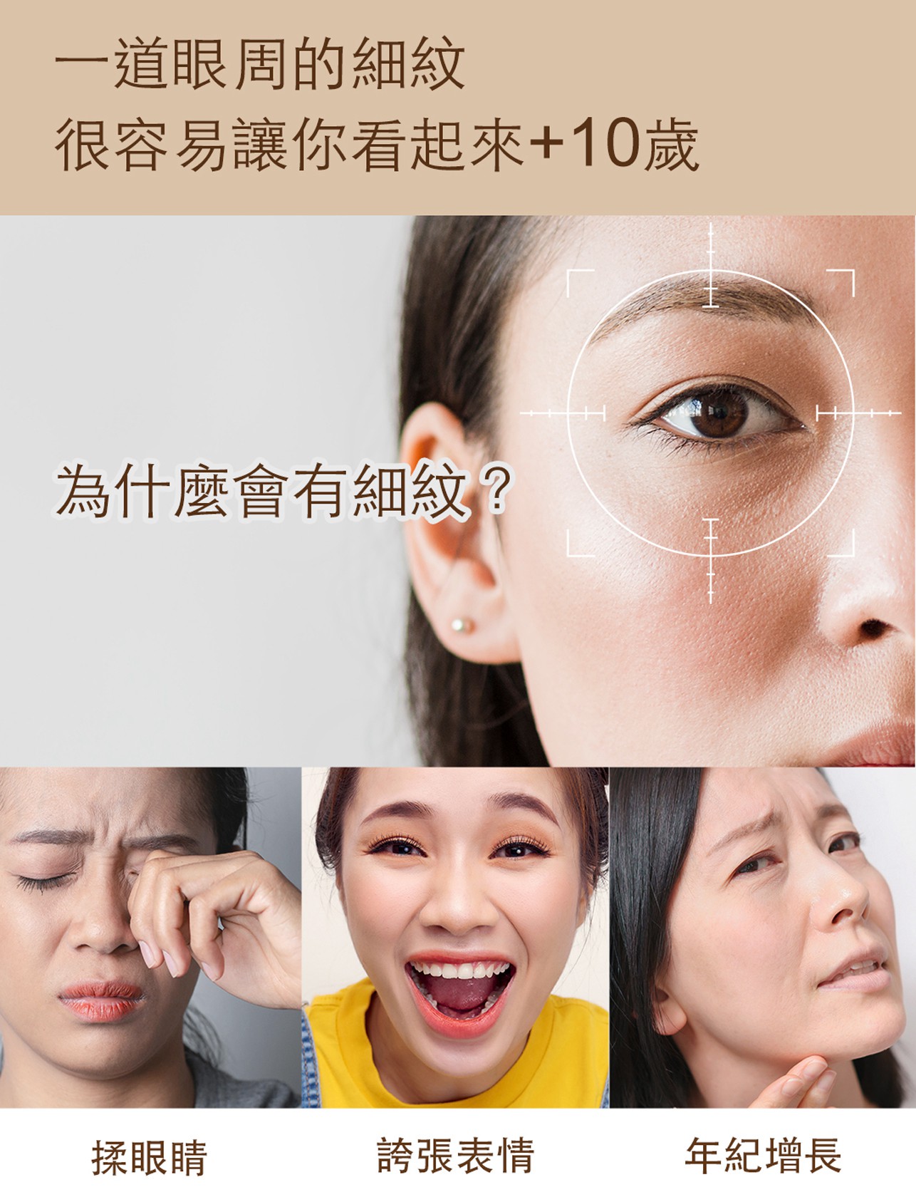 試用