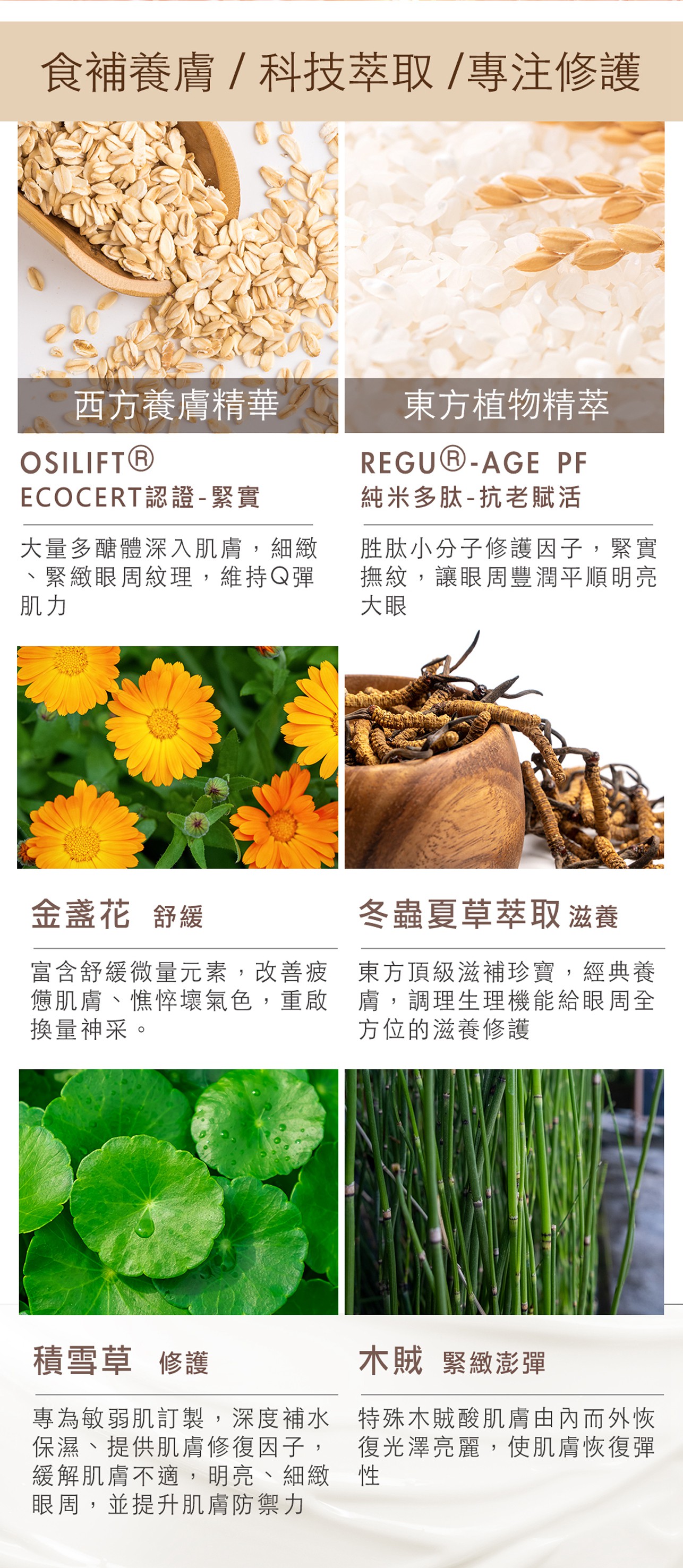 試用