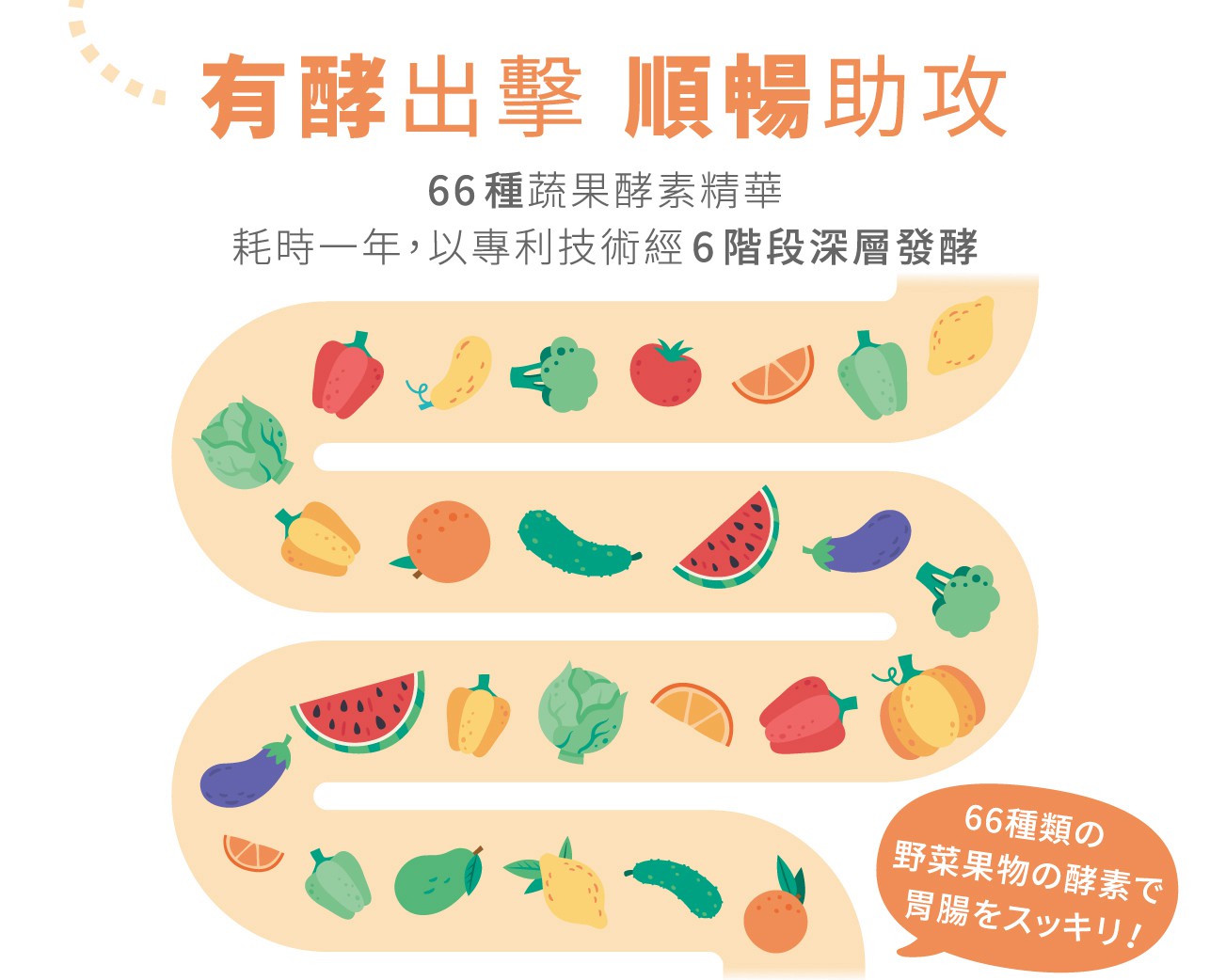 試用