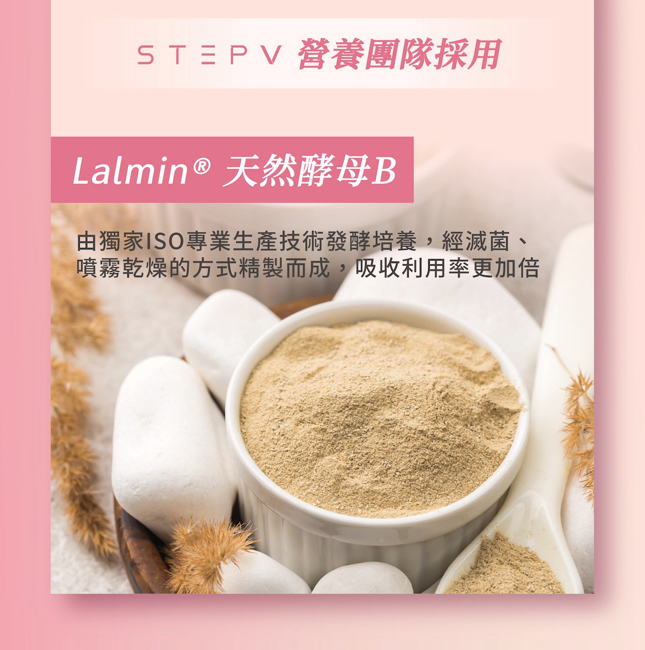試用