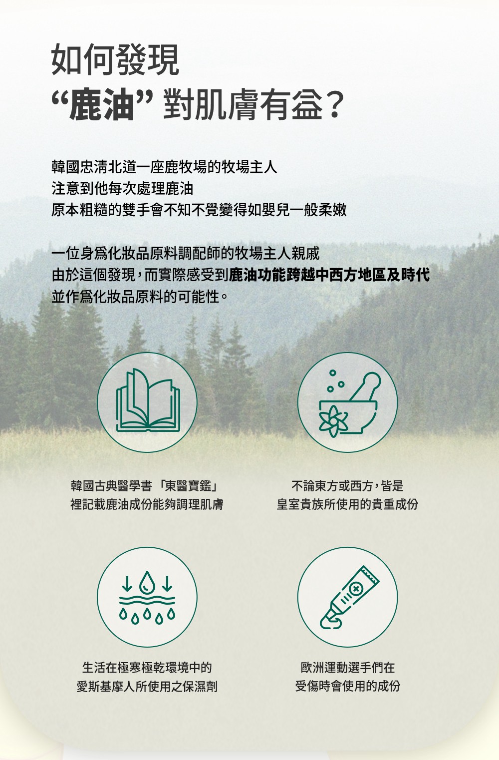 試用