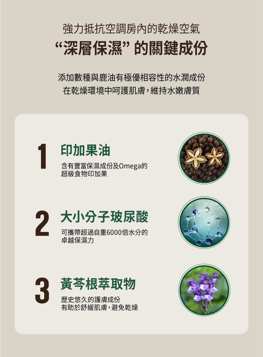 試用