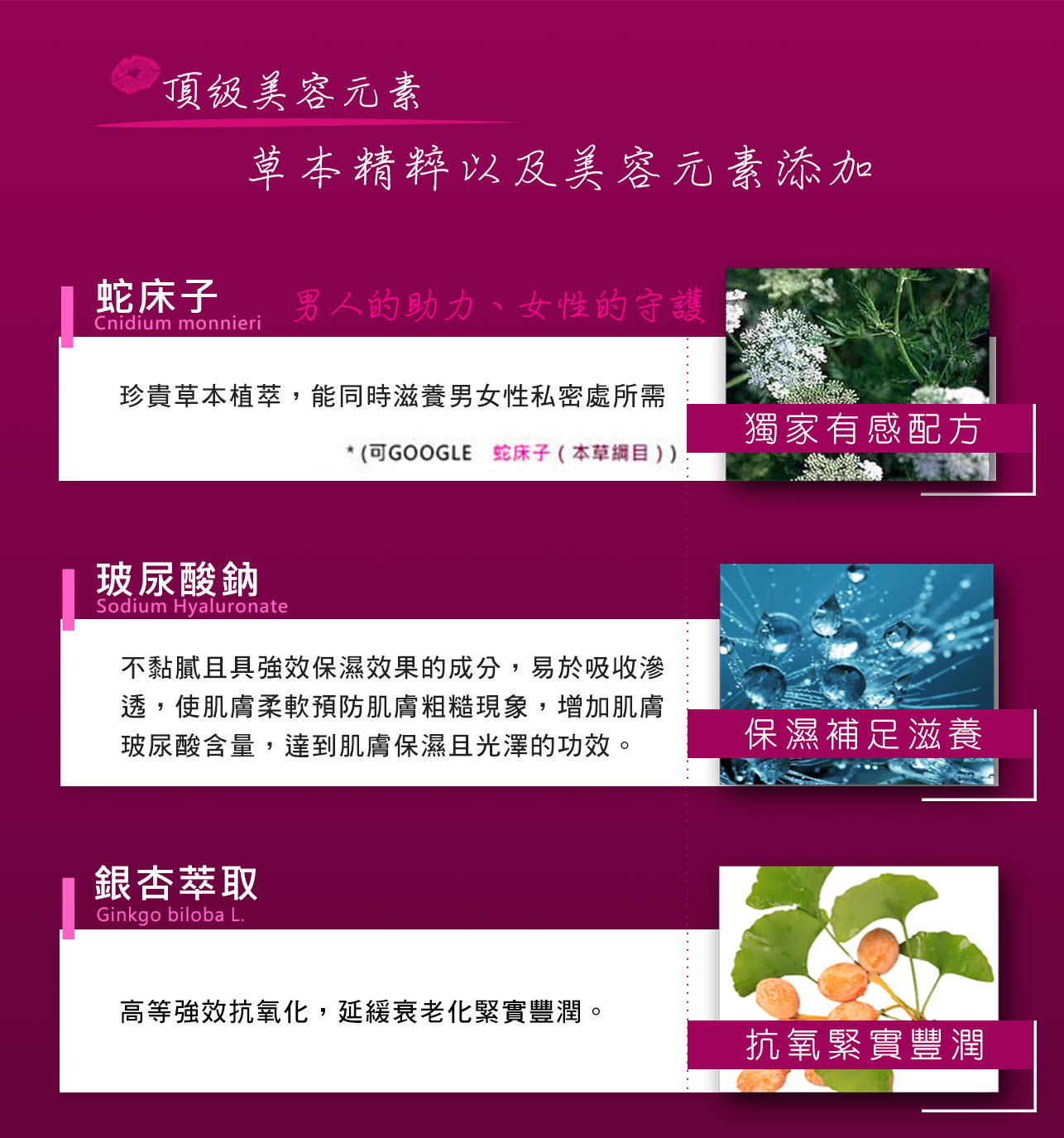 試用