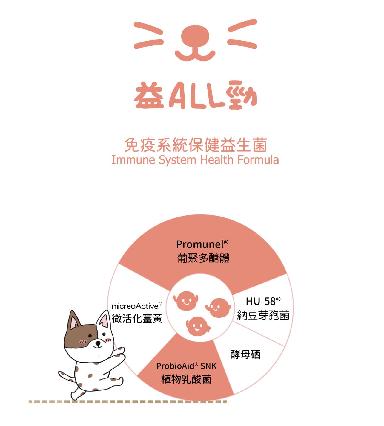 試用
