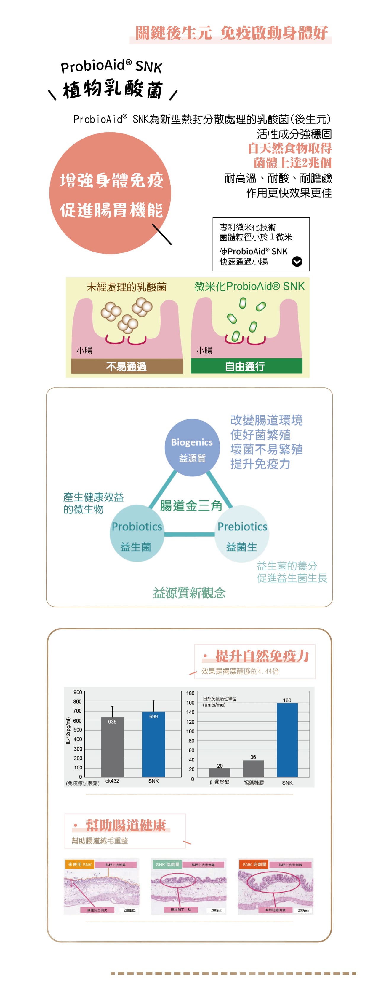 試用
