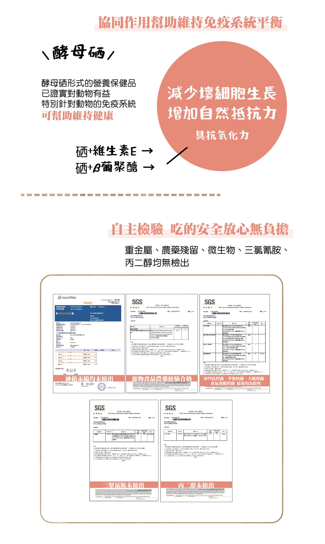 試用