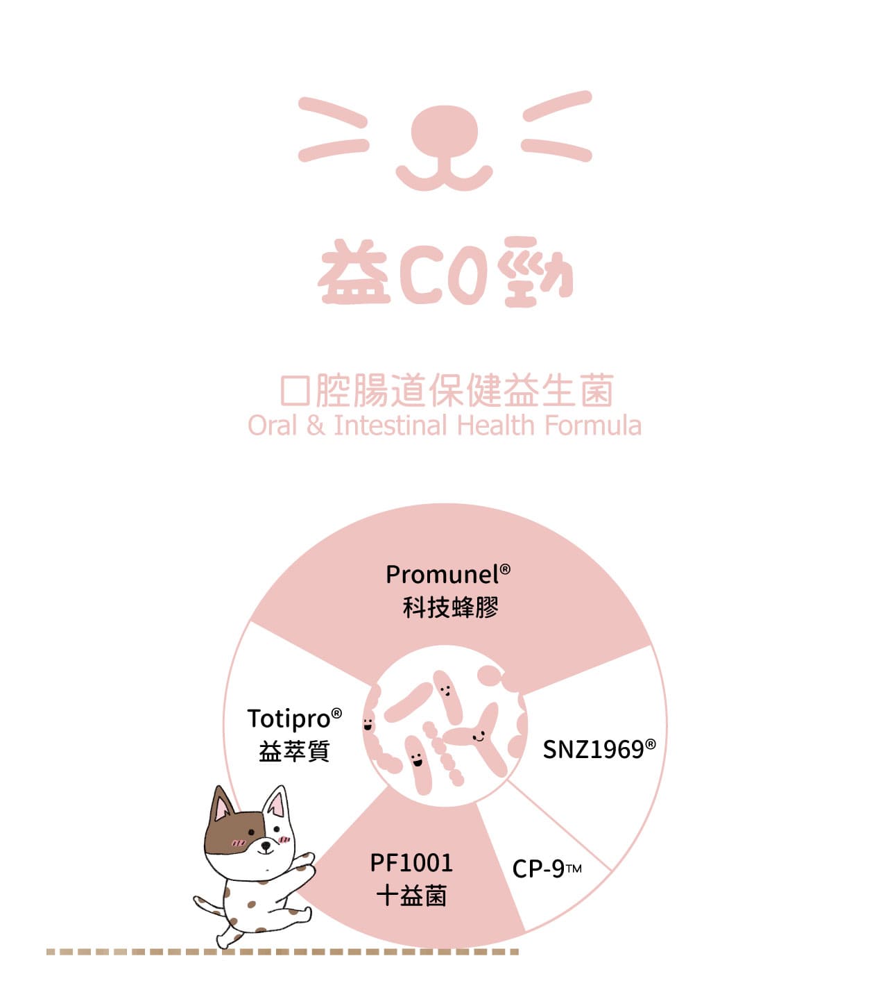 試用