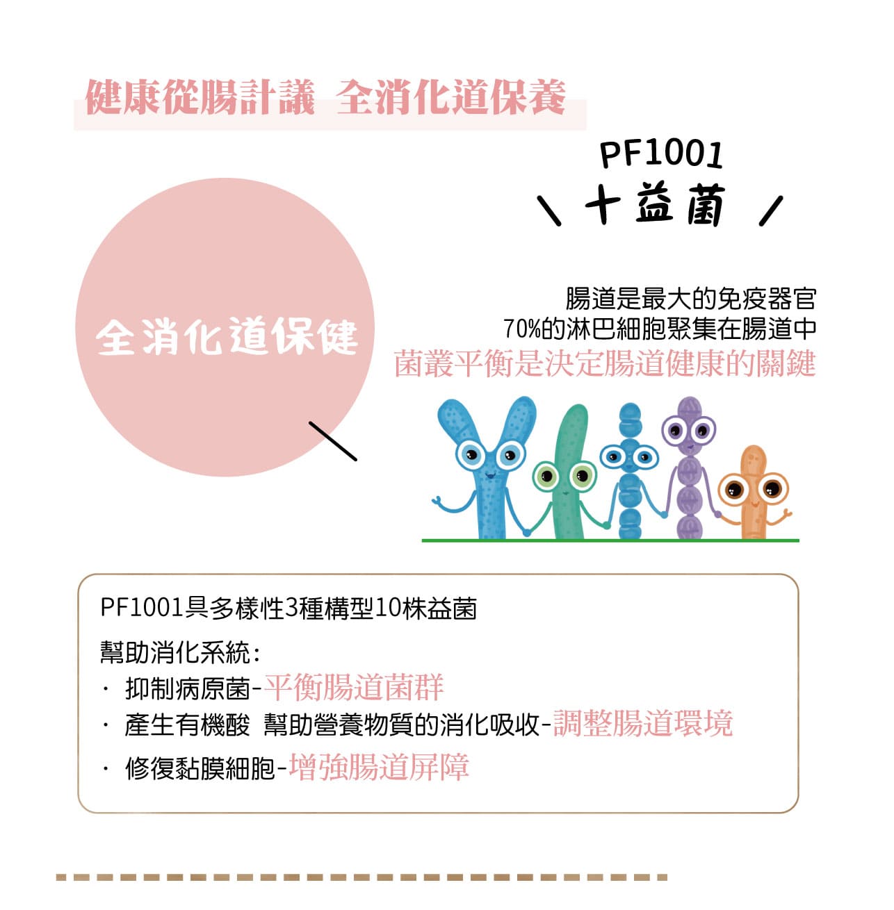 試用
