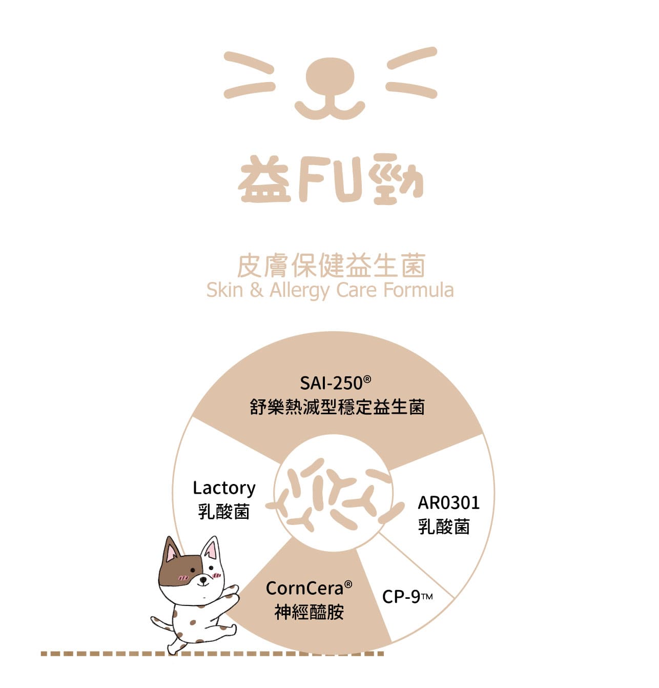 試用
