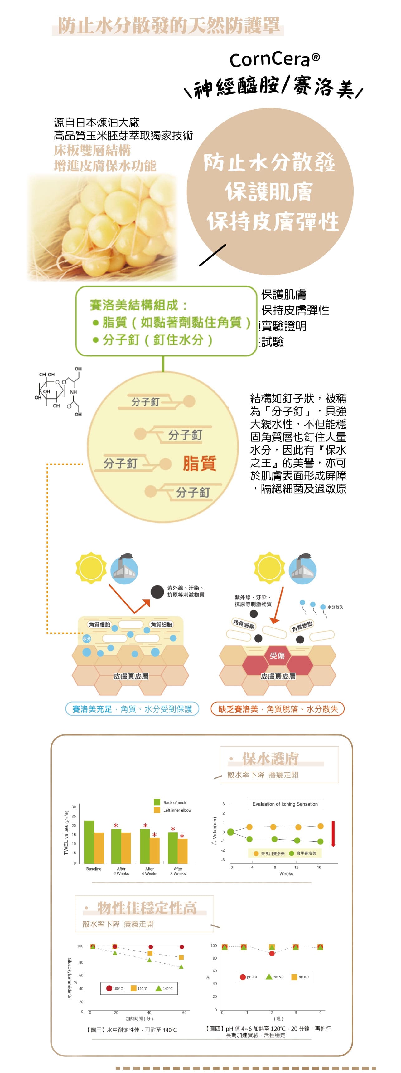 試用